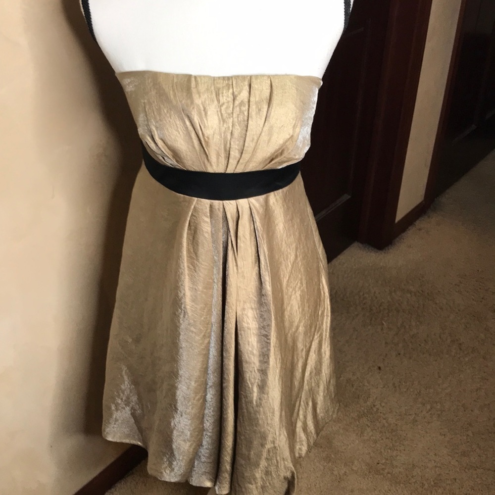 Max And Cleo Gold Black strapless cocktail dress